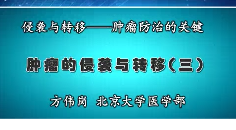 QQͼƬ20170719091229.png