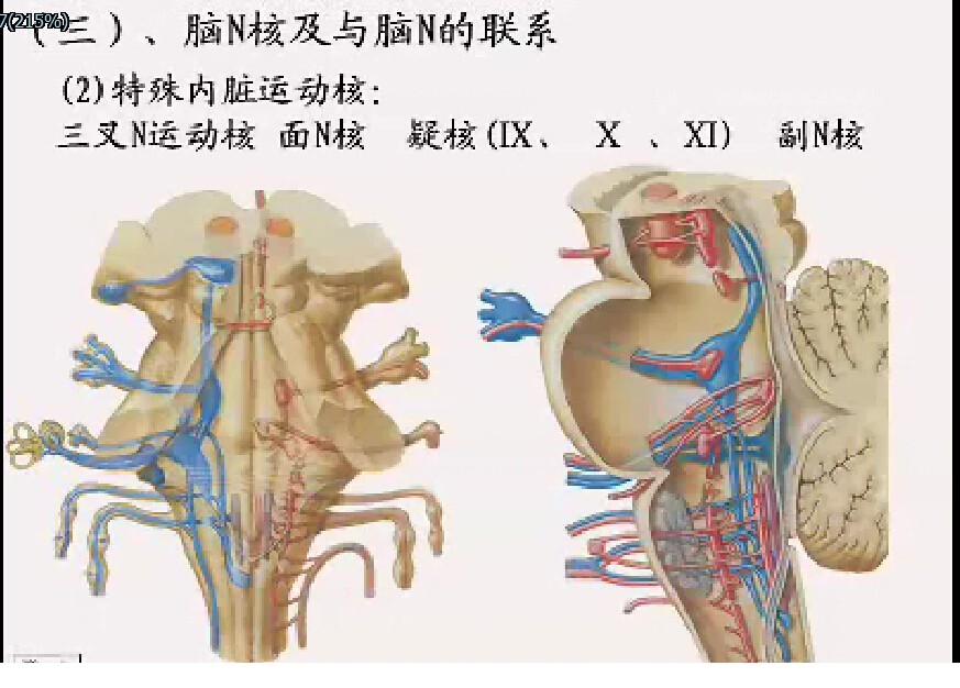 230437wrs2ro22odhwwvbu.jpg