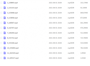 Snipaste_2021-08-01_20-26-08-300x221.png