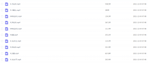 Snipaste_2021-12-04_07-48-13-300x150.png