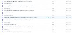 Snipaste_2022-01-15_17-21-46-300x153.png