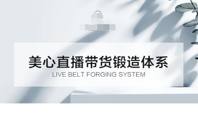 1761737341-550225-image.png